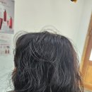 텔리뷰티