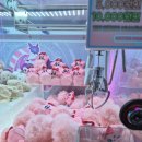 캐치팡인형뽑기방 - 울주군 신온1길 8 | 캐치팡인형뽑기방