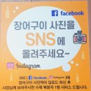 미도락민물장어
