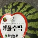 초평농협