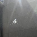 남부자동차서비스 이미지