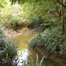 (주)쿨리 이미지