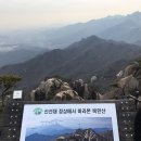 불로빈대떡집 이미지