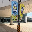 효원장 | 수원 메가쇼 팔도밥상페어에서내돈내산 지갑 열어 사온 후기