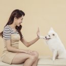 토비동물병원 이미지