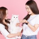 두꺼비사진관