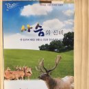전원사슴농장 이미지