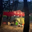 감악산낚시터 | 경남 거창 위천 솔밭 노지캠핑장 아스타국화 보기위한 1박 우중캠핑