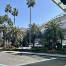 논짓물 | [제주] 제주공항 근처 갈치조림 내돈내산 후기 | 논짓물식당 갈치조림