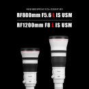 렌즈인걸 주식회사 이미지