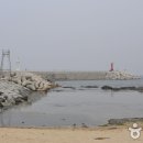 안인진길 이미지