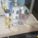 베어스 당구장 | 포천 베어스타운 빌라콘도 이용후기