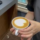 서울 광진구 라떼아트 교육 로프커피 코알라 커피 아카데미