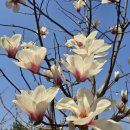 유카세탁 이미지