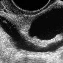 여우한의원 이미지