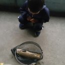 은행나무하우스낚시터 이미지