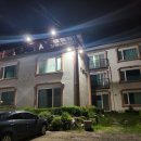 제부도펜션 벚꽃 이미지