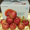 양지농원 이미지