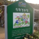 새마을농장 이미지