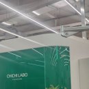 로단테(Rhodanthe) | [야외스냅 후기] 로단테스냅/ rhodanthe snap 웨딩스냅 추천
