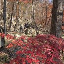 몽계폭포 백양사코스 이미지