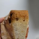 경산 베이커리 맛집 - 옥산옥 후기, 샌드위치 추천, 에그타르트, 옥산동 맛집