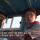호떡상회