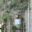 1054 | 네덜란드 3월 여행 | 암스테르담 취미발레원정 Zhembrovskyy West | 예약방법, 수업 솔직 후기