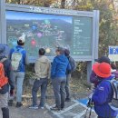 서귀포자연휴양림 이미지