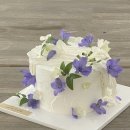 세라케이크seracake