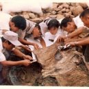 금관약품 이미지