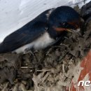 수옥경로당 이미지