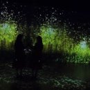 아르떼뮤지엄 이미지