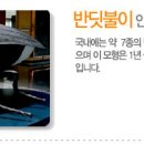 무주반디랜드반딧불자연학교 Daum카페