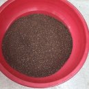 춘자 순대국 이미지