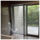 제주무이 이미지