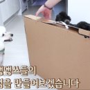 러브펫츠 이미지