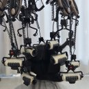 수정애견미용실 | 다산 미용실 미유살롱 다산점 레이어드컷 c컬펌 주희실장님 첫방문 후기