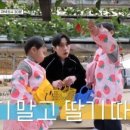 정우농장 이미지