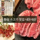 화성시 남양 맛집 소고기 살살녹소 내돈내산