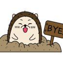 이영화교동짬봉