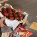 최성란산부인과의원 이미지