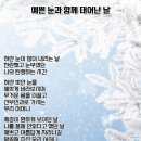 눈과 함께 이미지