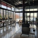 펫앤스토리 이미지