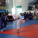 제주특별자치도 유도회관 이미지