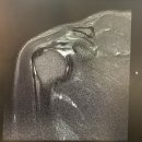 합자회사 수강 | 병원 근무, 건강운동관리사 업무/건강운동관리사 취업 후기/건운사 취업, 건운사 전망, 건운사 취업방향