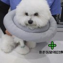 튼튼동물의료센터 이미지