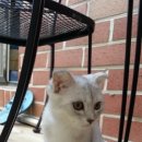 백양동물병원 이미지