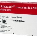 플러스동물약국 이미지