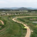 요천생태습지공원 애견놀이터 이미지